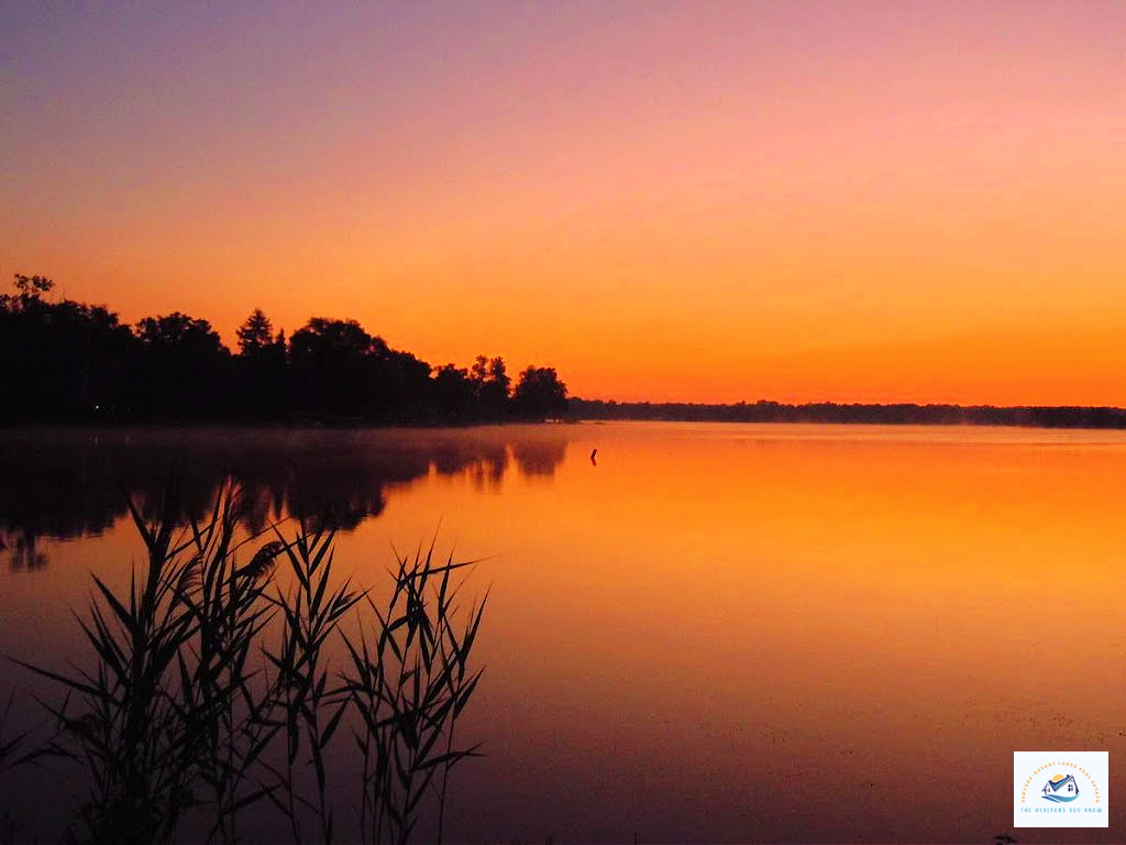 A breathtaking sunset over a calm lake in West Bloomfield, MI, with warm hues reflecting off the water. Silhouetted reeds in the foreground add to the peaceful ambiance of this stunning lakefront setting…